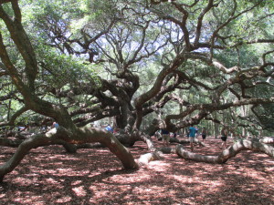 Angel Tree