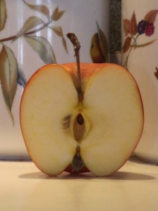 apple seed