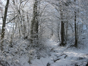 Snowy road